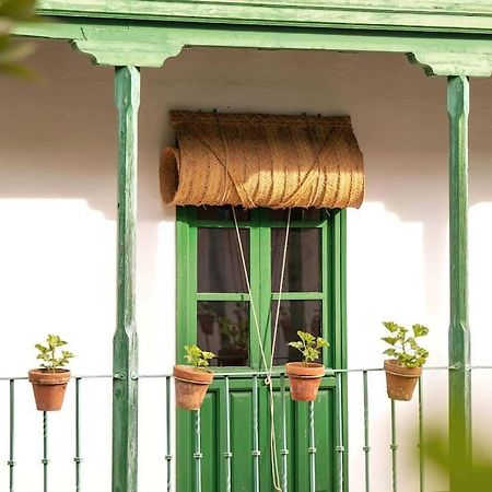 Apartamento A Estrenar En Calle Alcazares セビリア エクステリア 写真